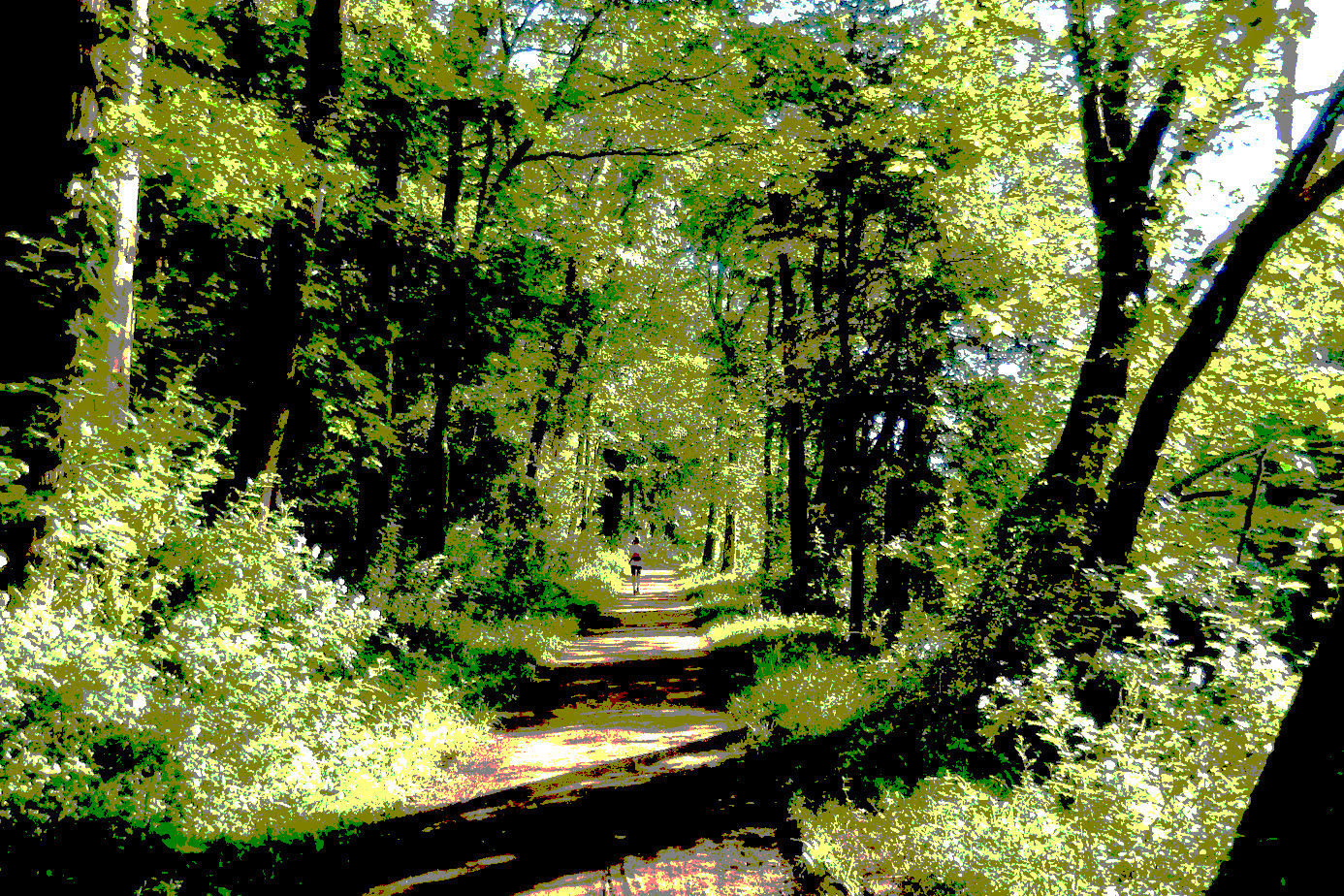 on the towpath